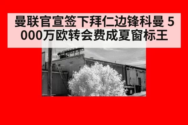 曼联官宣签下拜仁边锋科曼 5000万欧转会费成夏窗标王
